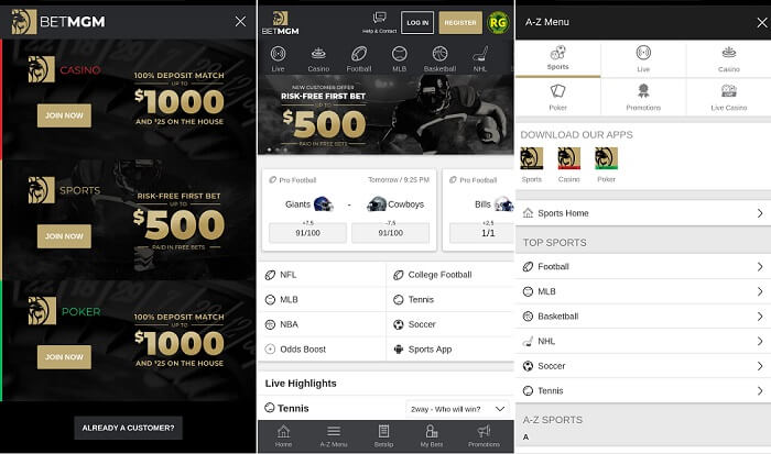 Borgata Sportsbook App Download