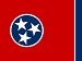 TN Flag