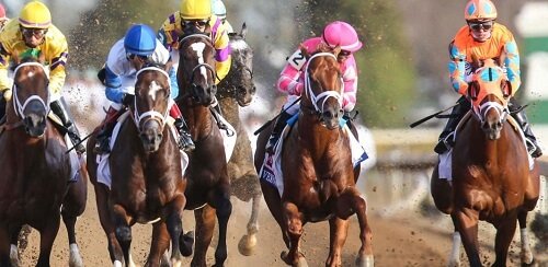 free horse racing bets no deposit