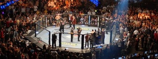 UFC octagon