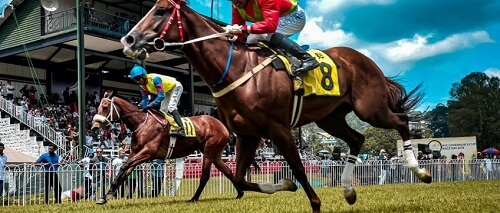 5 Best Horse Racing Betting Apps