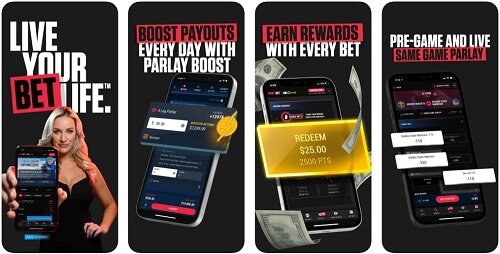 3 Things Everyone Knows About Comeon Betting App That You Don't