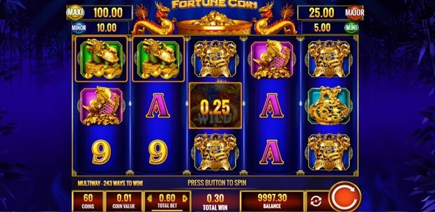 Fortune Coin slot game