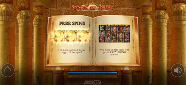 Book of Dead free spins