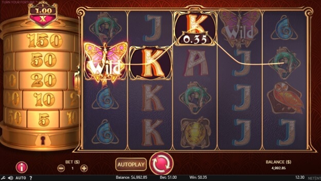 Turn Your Fortune slot