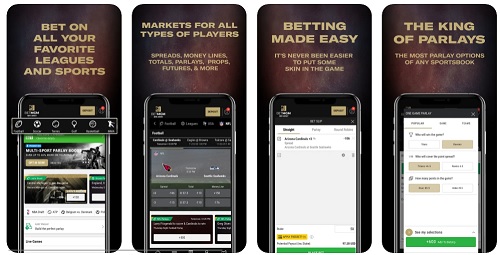 betmgm sports app