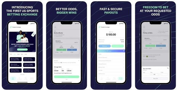 Profit Exchange P2P app