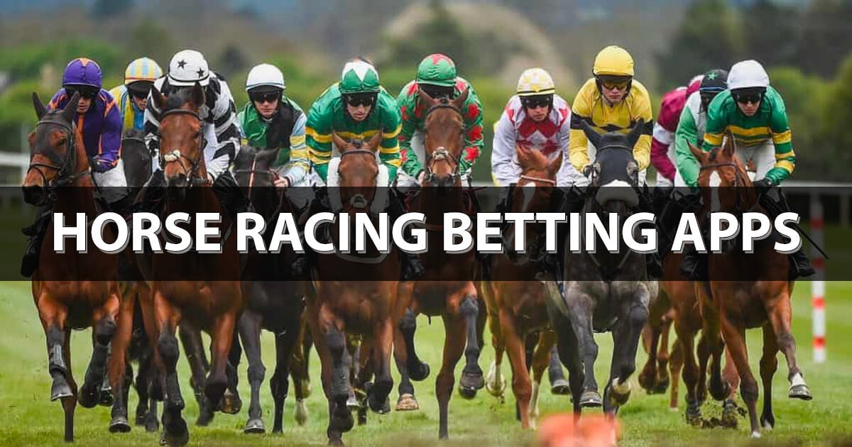 The Quickest & Easiest Way To Cockfight Betting App