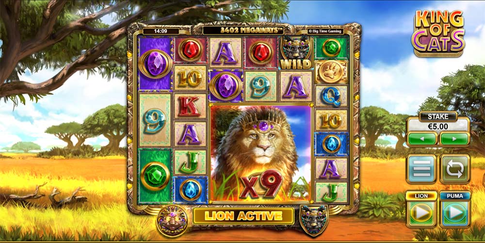 king of cats slot