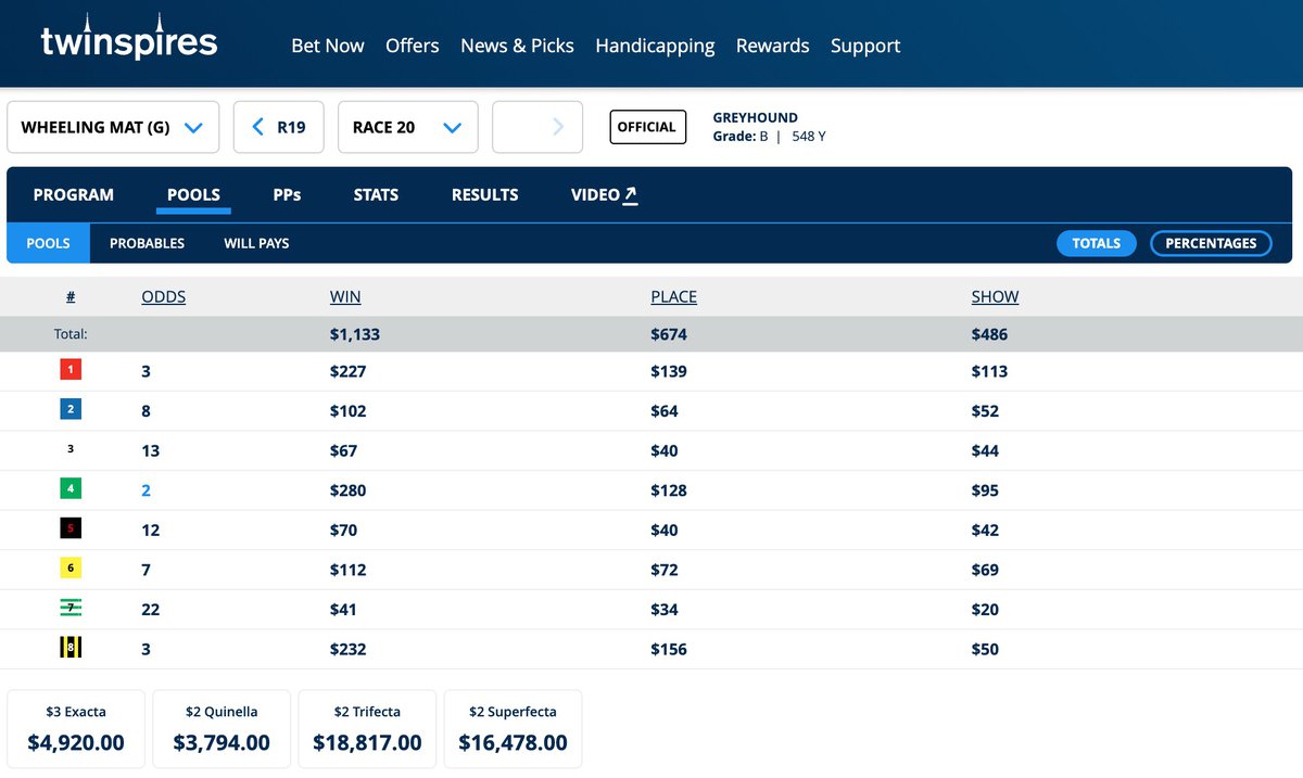 Bet Types for Dog Racing